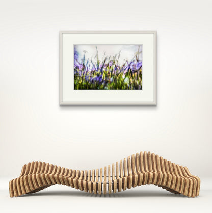 Iris Leaves