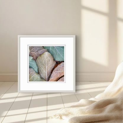 Ice Crystal (framed)