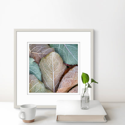 Ice Crystal (framed)