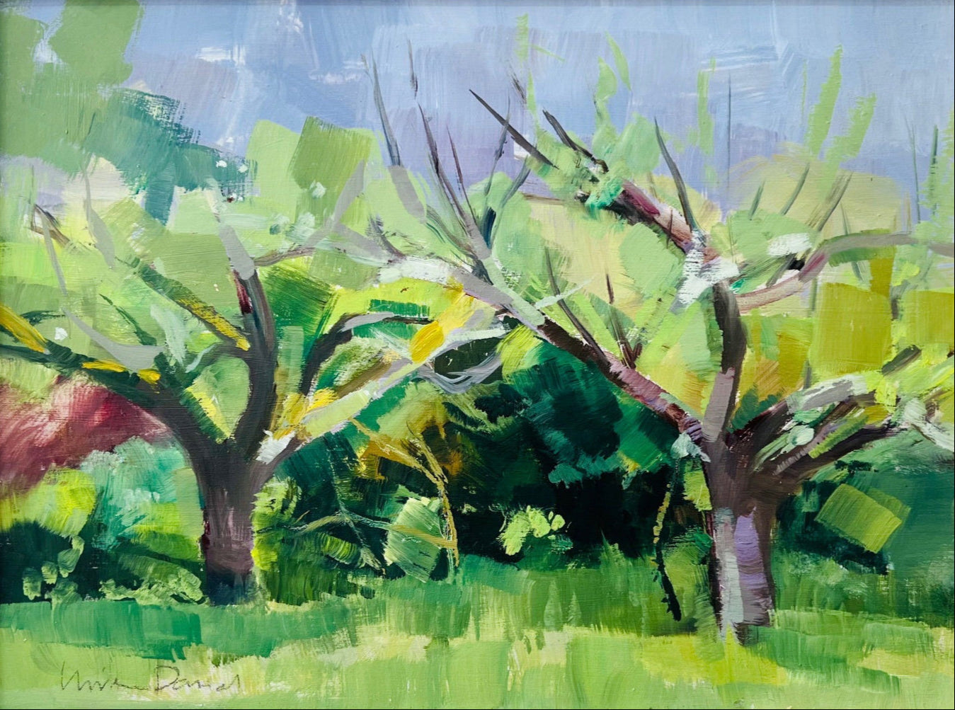 Apple Trees, Tenterden