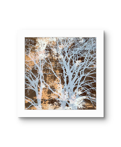 When Trees Dreams III