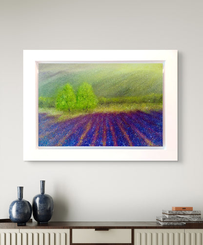 Lavender Field