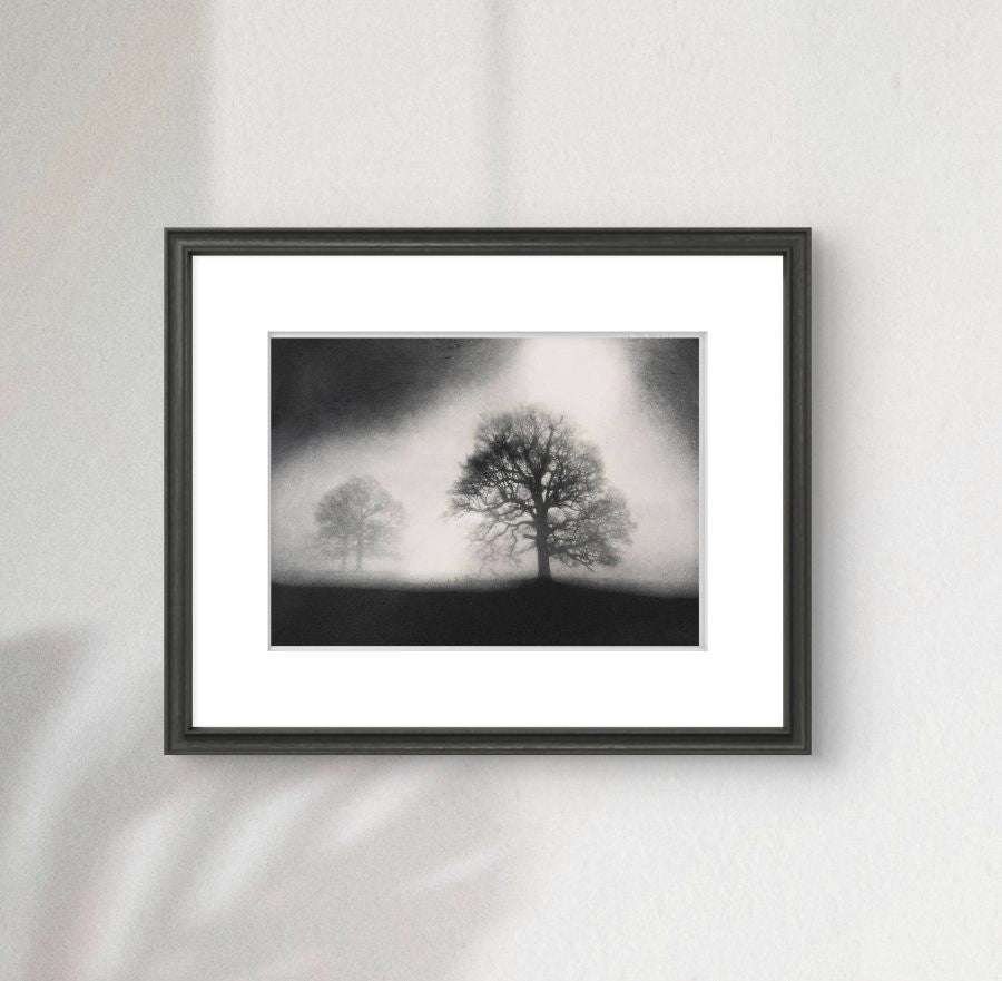 Sissinghurst Dawn. Black & White