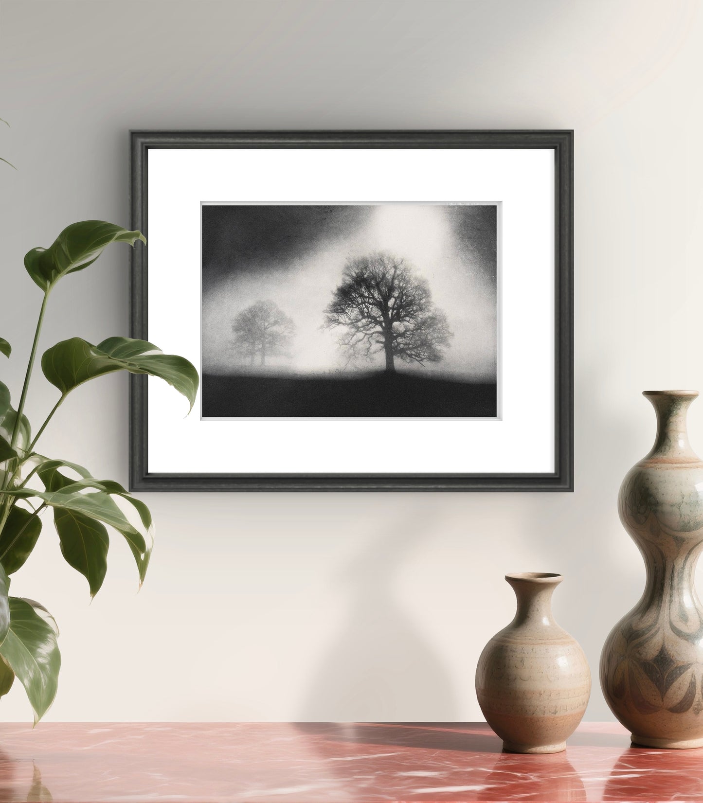 Sissinghurst Dawn. Black & White