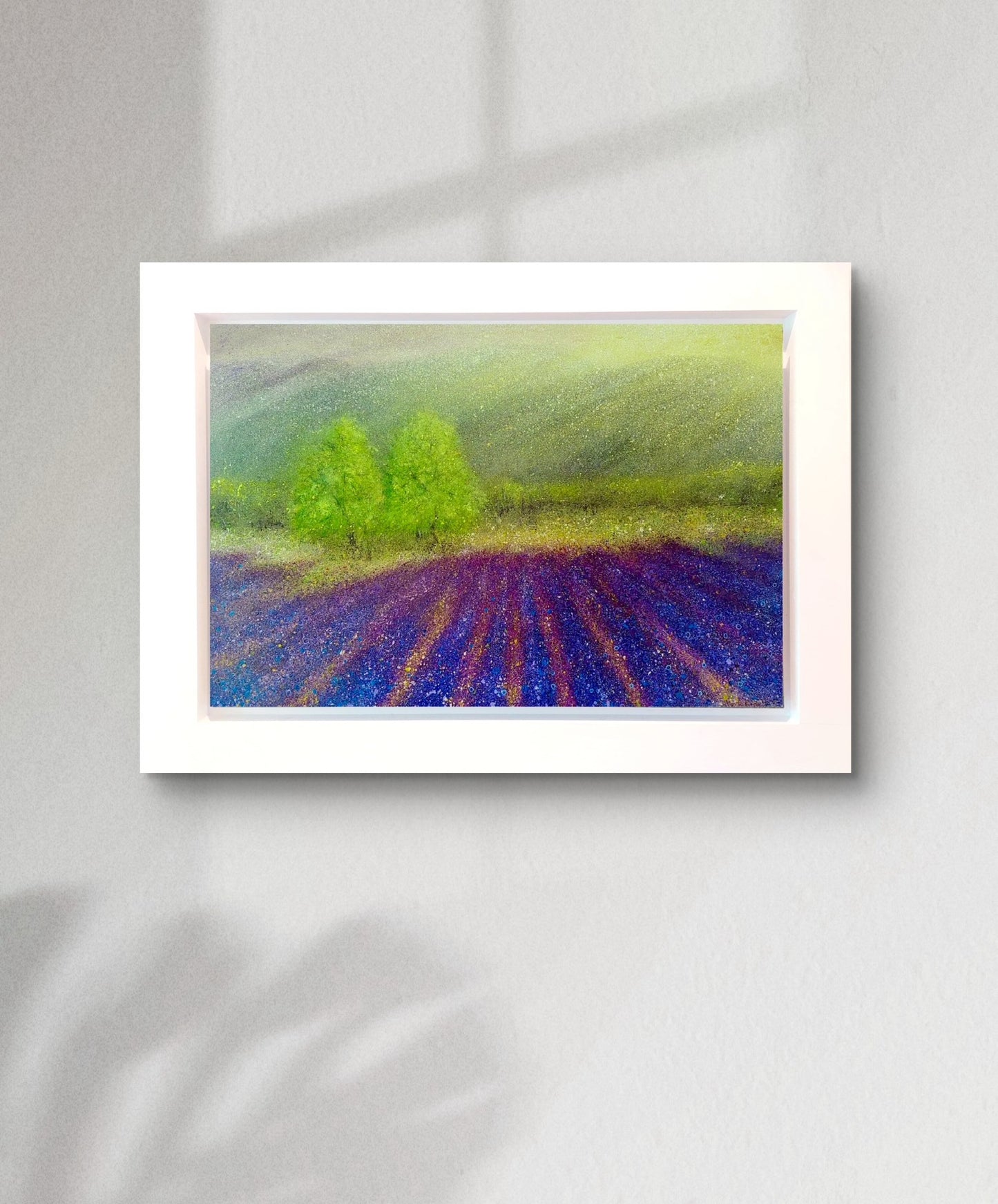 Lavender Field