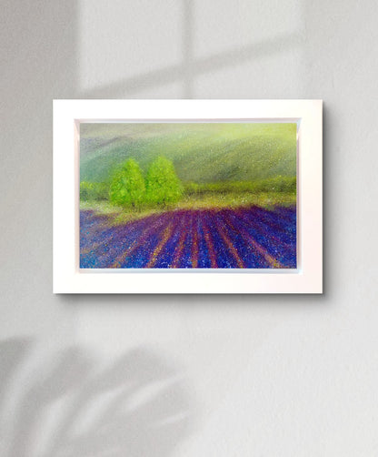 Lavender Field