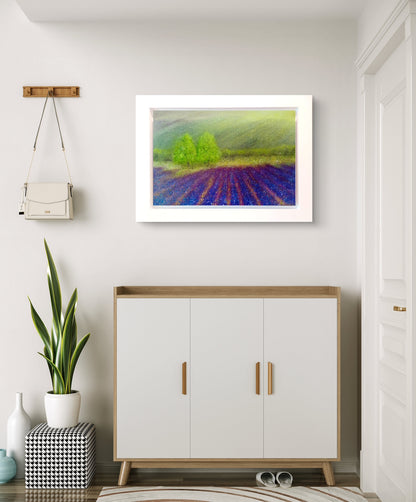 Lavender Field