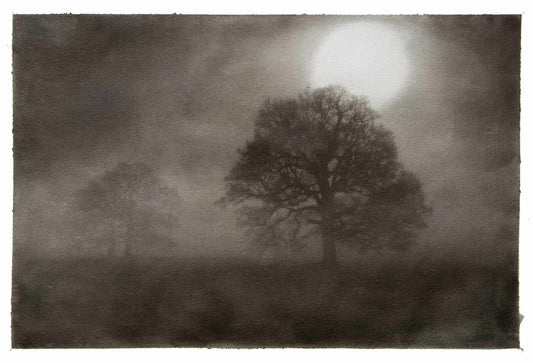 Frozen Dawn, Sissinghurst