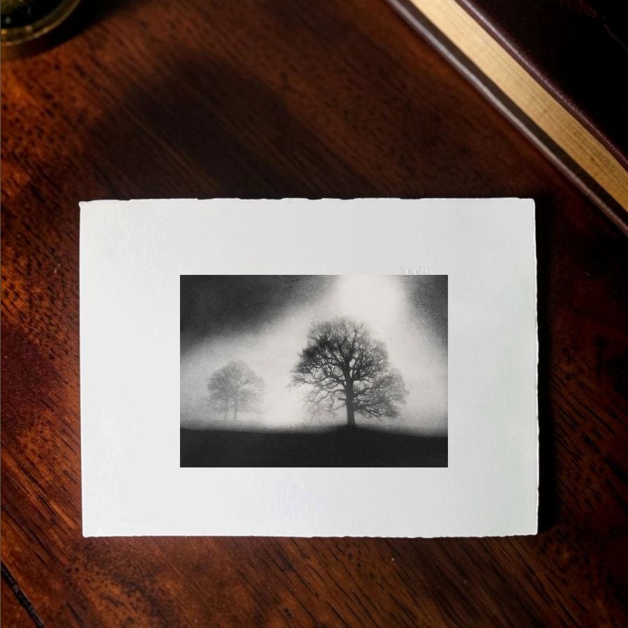 Sissinghurst Dawn. Black & White
