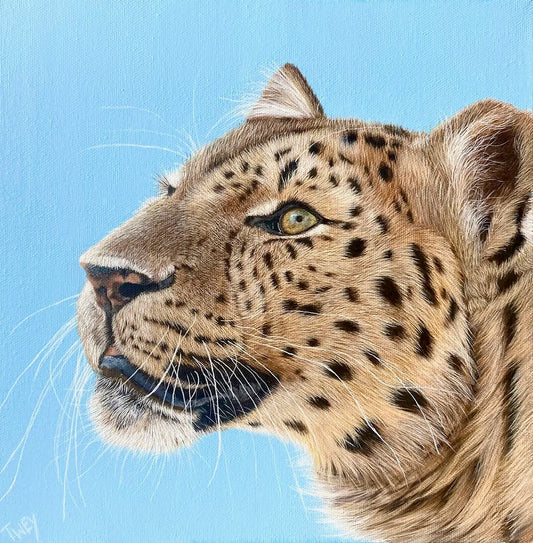Atara
