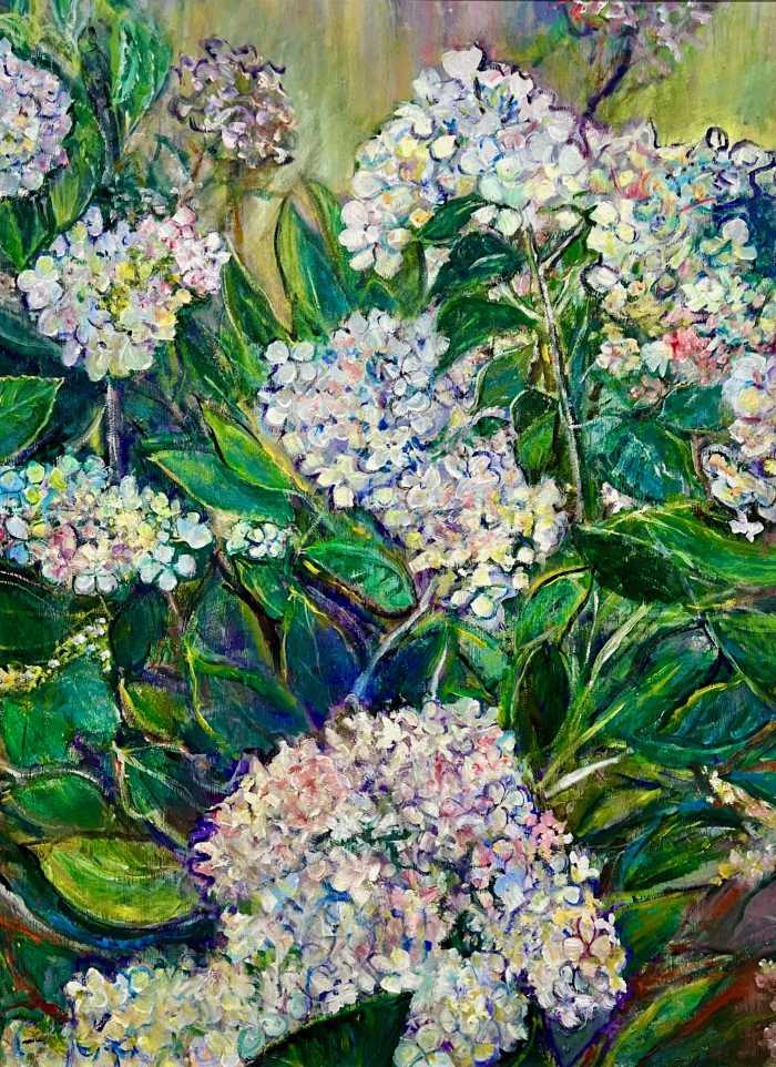 White Hydrangeas