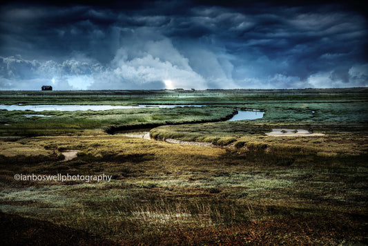 Rye Harbour reserve