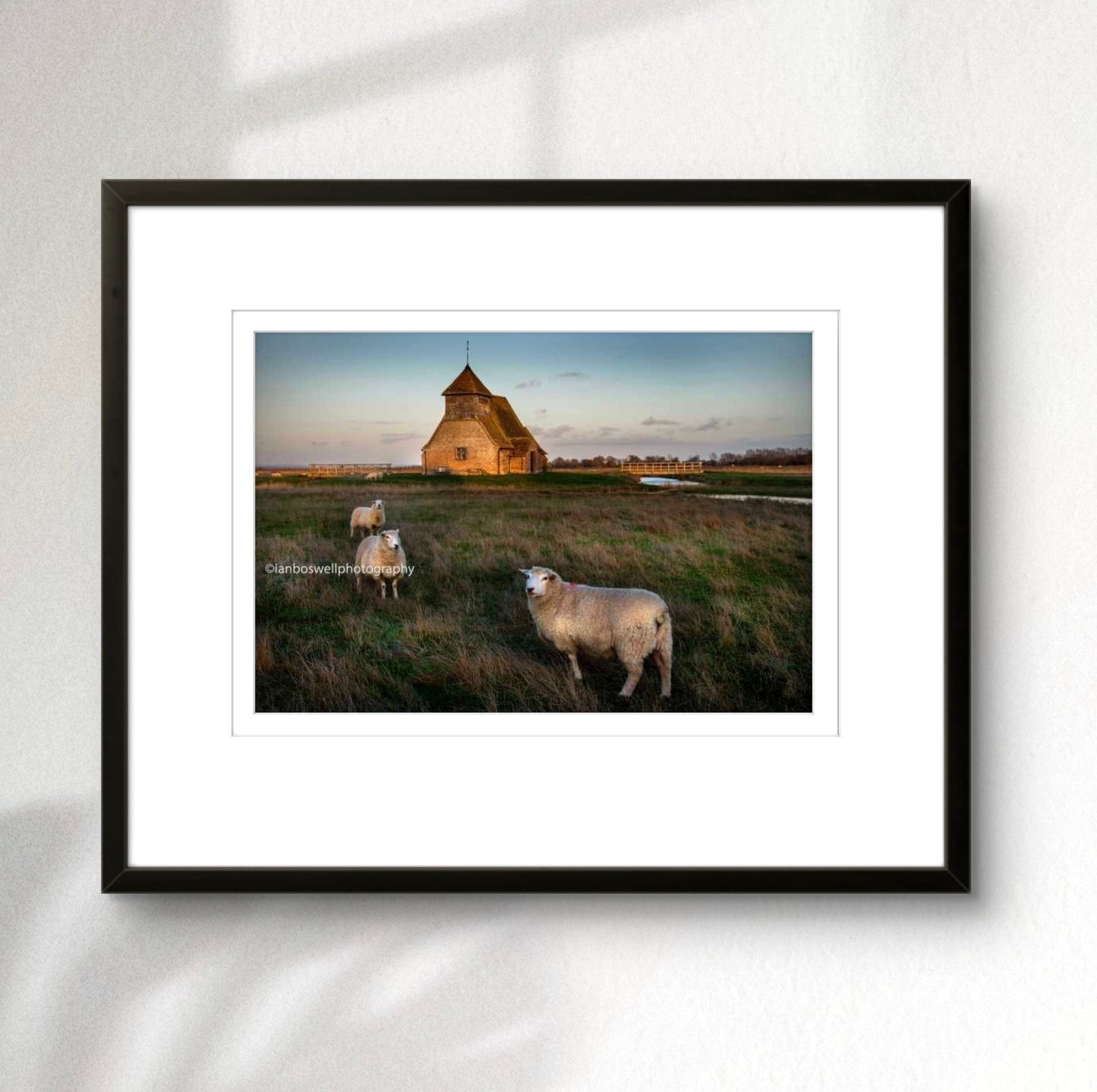 Church with Romney Marsh sheep