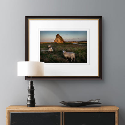 Church with Romney Marsh sheep