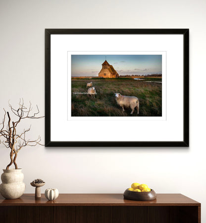 Church with Romney Marsh sheep