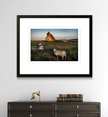 Church with Romney Marsh sheep