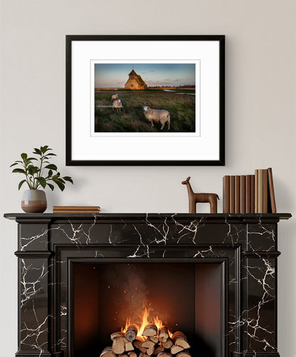 Church with Romney Marsh sheep