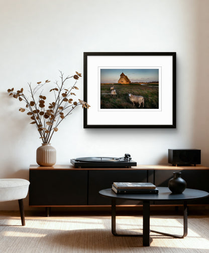 Church with Romney Marsh sheep