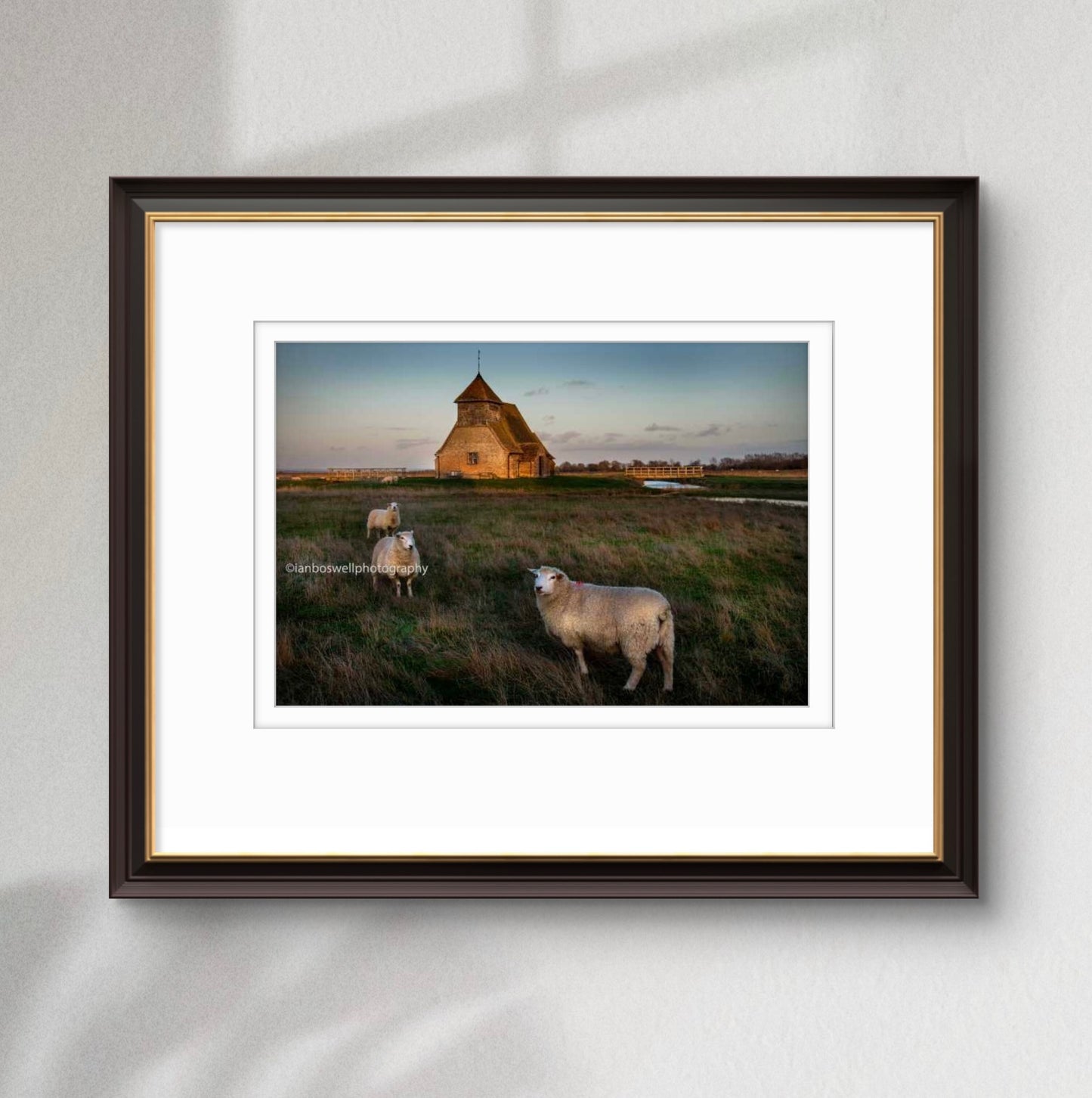 Church with Romney Marsh sheep