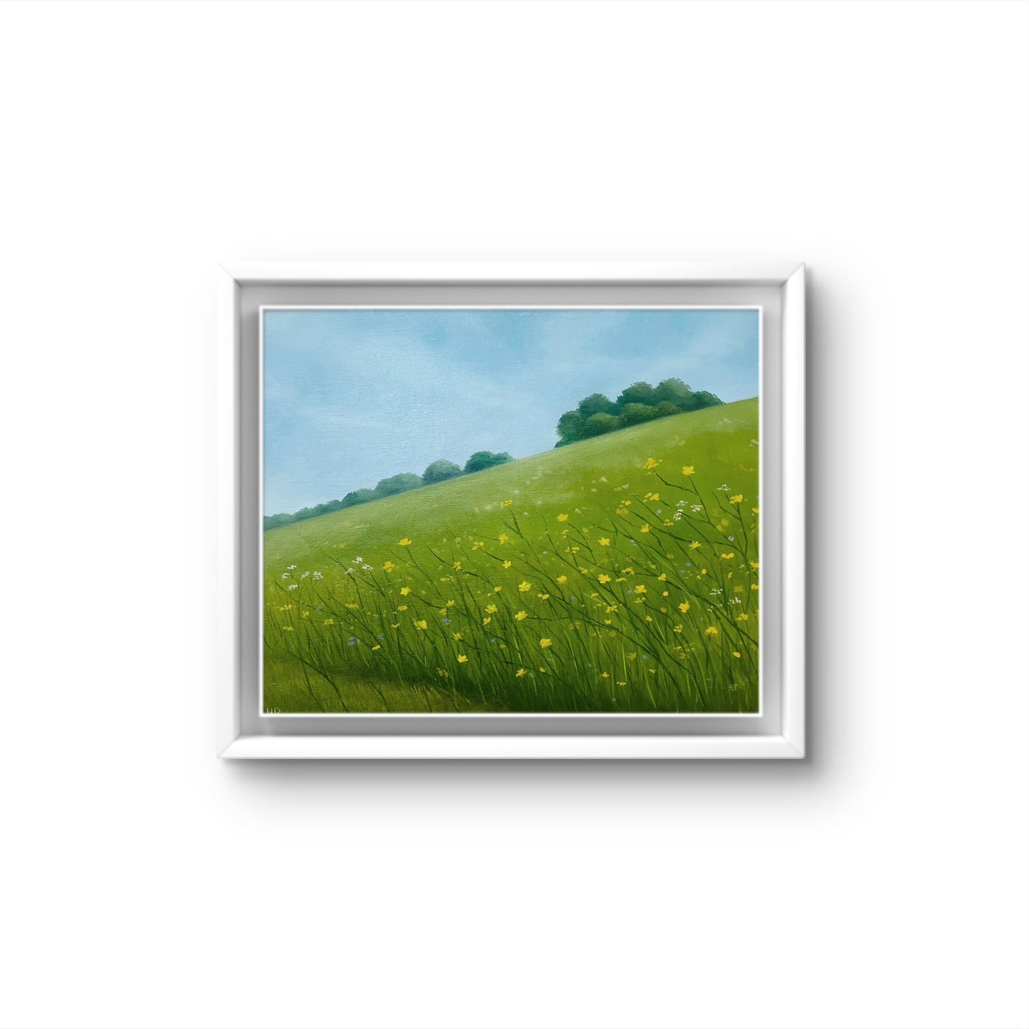 Wildflower Field Study II