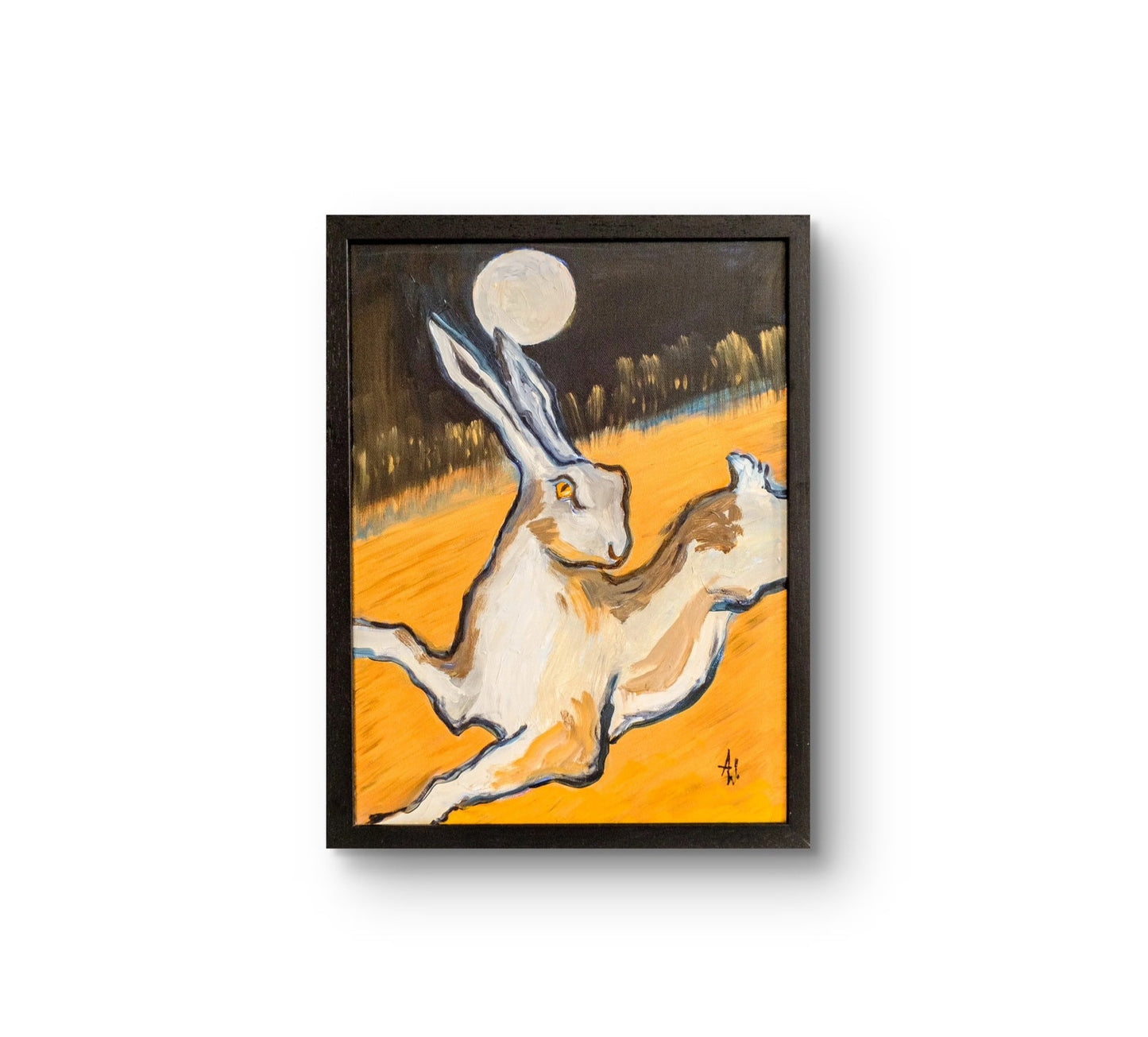 Midnight Hare