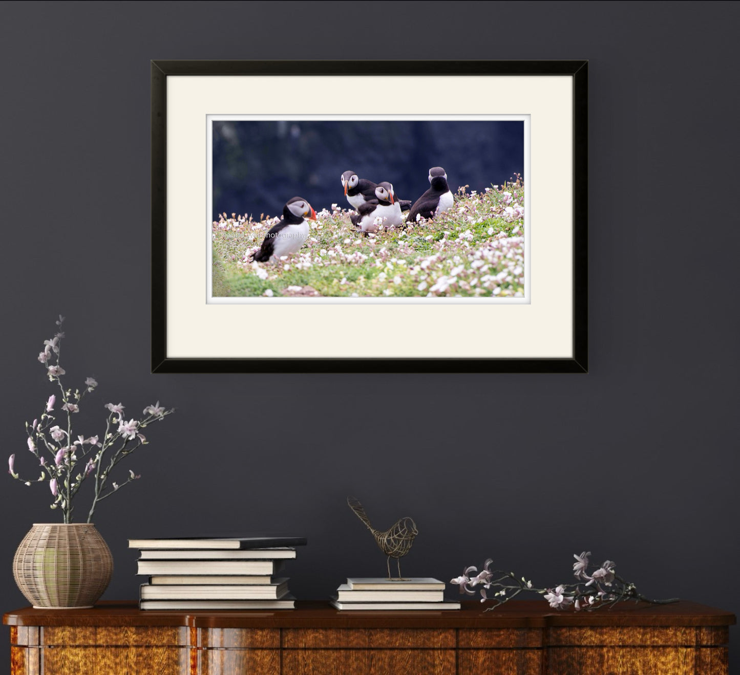Puffin quorum, Skomer, Pembrokeshire