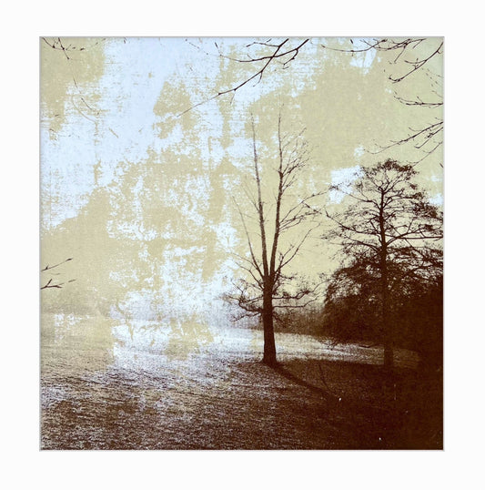 Autumn I
