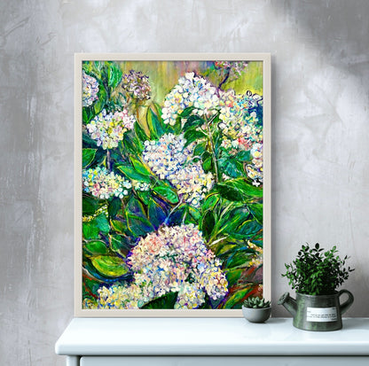 White Hydrangeas