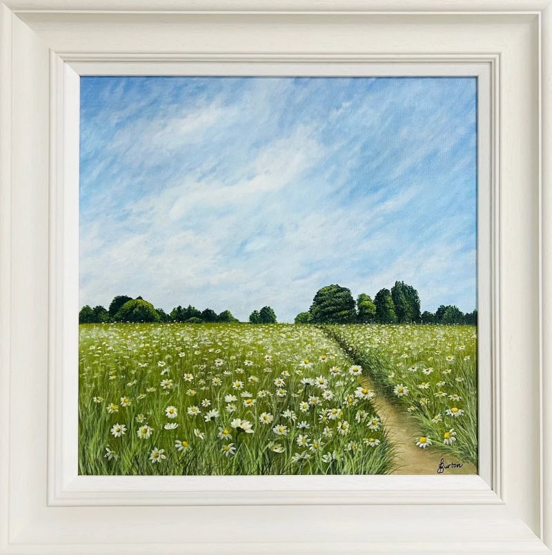 Field of Daisies