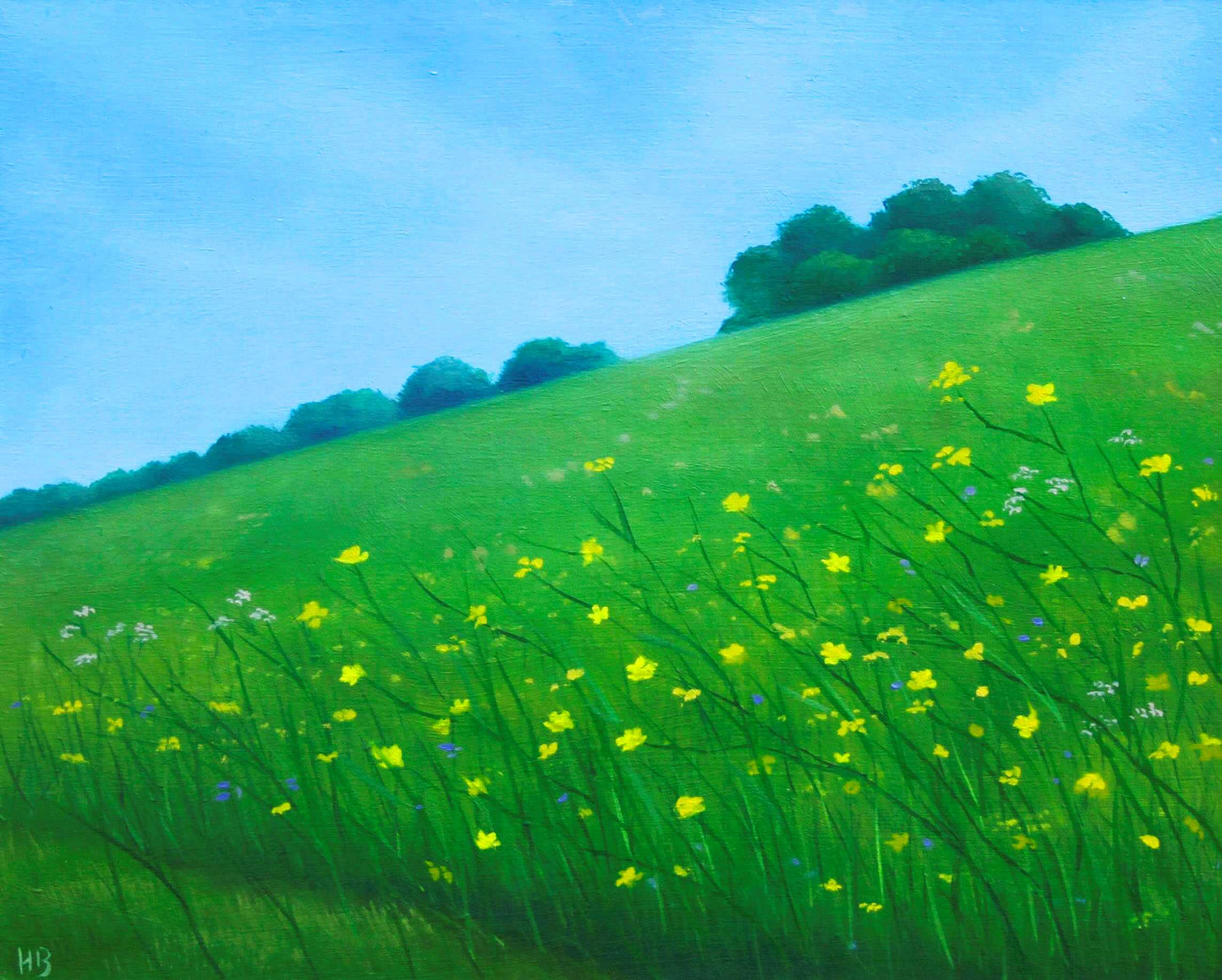 Wildflower Field Study II