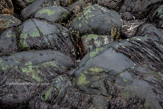 Black rocks, Talisker, Skye