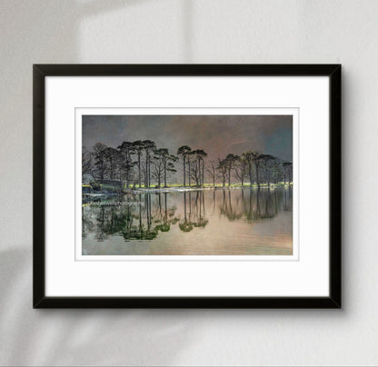 Buttermere pines, Lake District