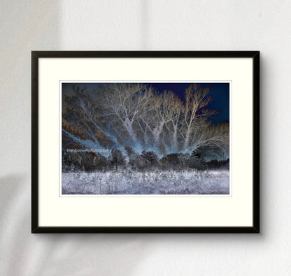 Winter in Marden, Kent (Framed)