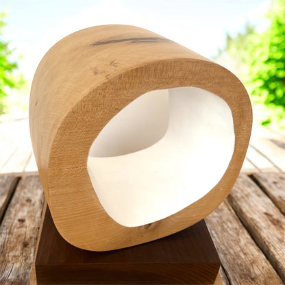 Homage to the Sycamore