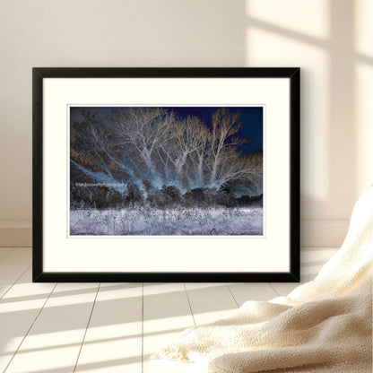 Winter in Marden, Kent (Framed)