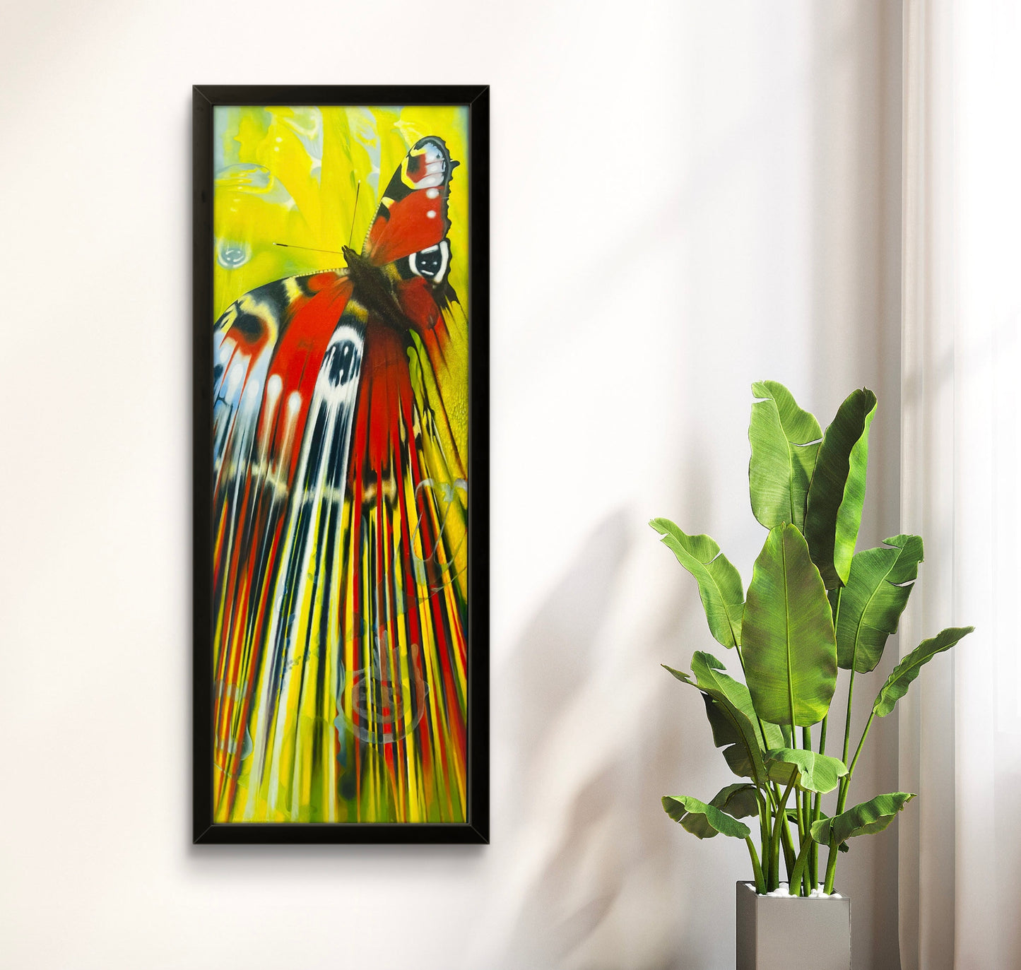 Peacock I