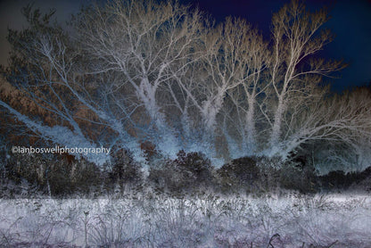 Winter in Marden, Kent (Framed)