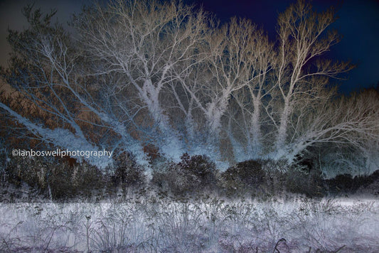 Winter in Marden, Kent (Framed)