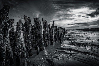 Groynes on Cooden Beach