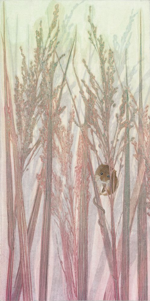 Harvest Mouse Study I