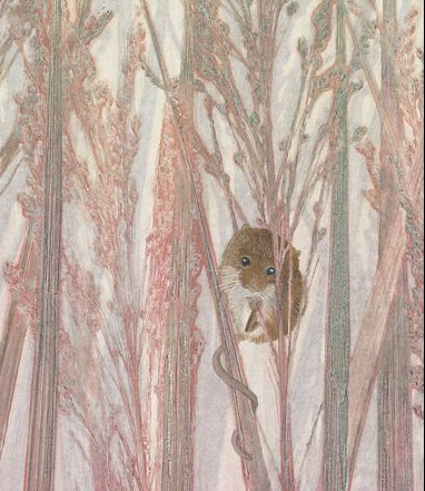 Harvest Mouse Study I