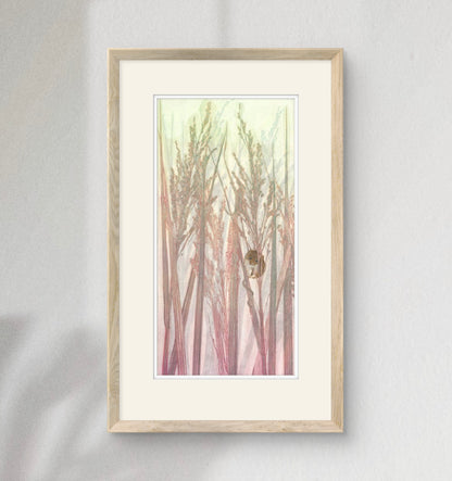 Harvest Mouse Study I
