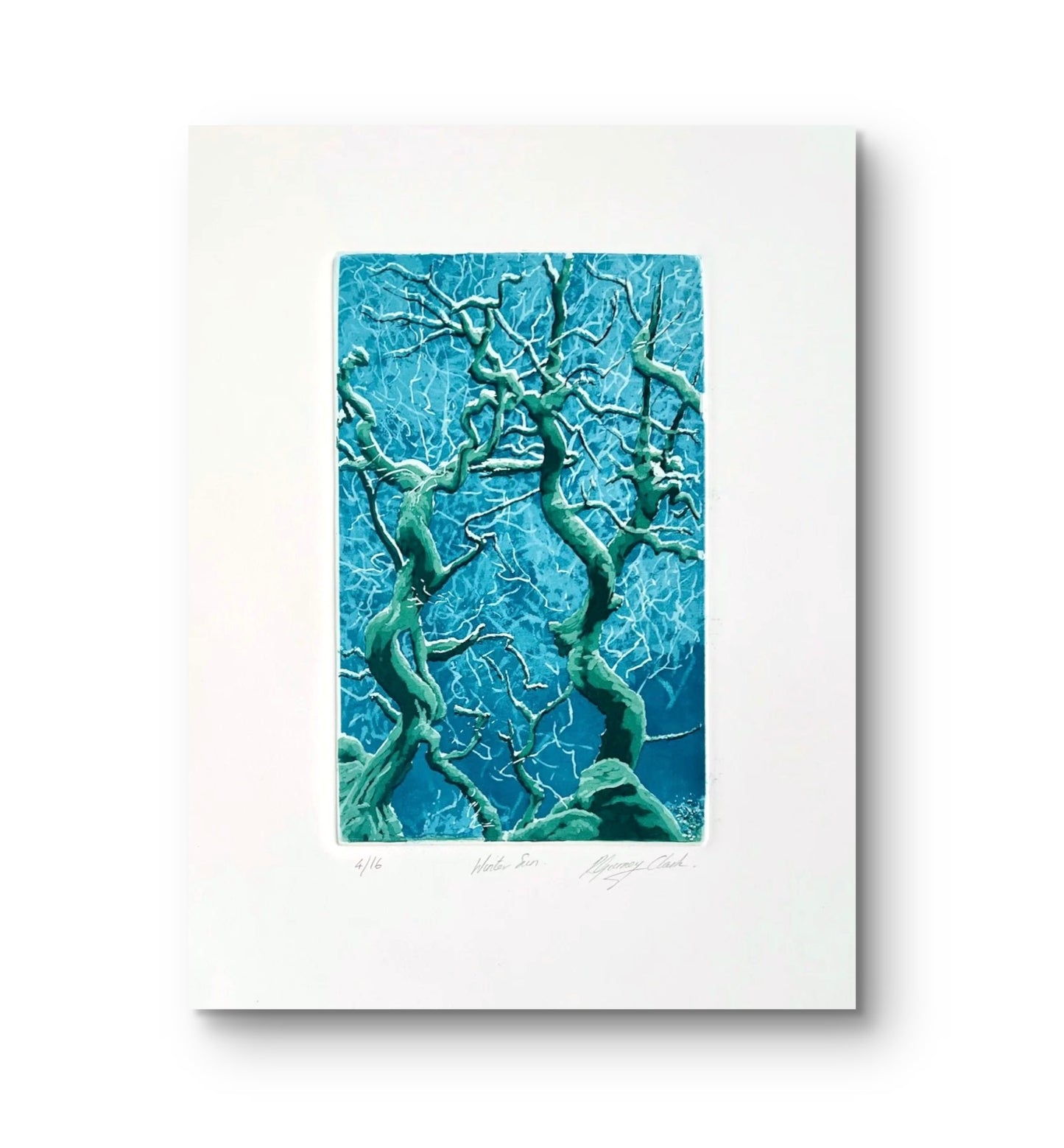 Winter Sun (unframed)