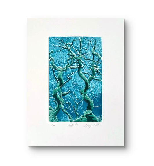 Winter Sun (unframed)