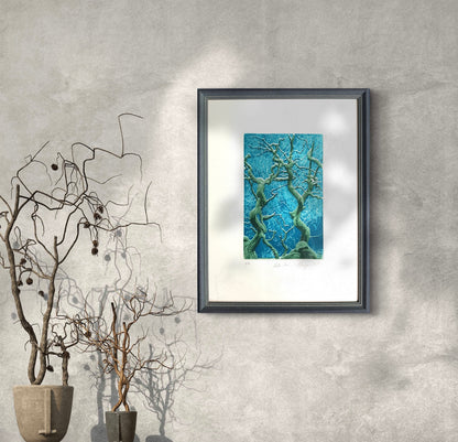 Winter Sun (unframed)