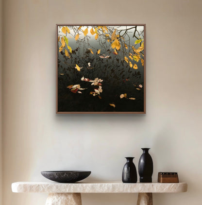 Mirror of Autumn Competition