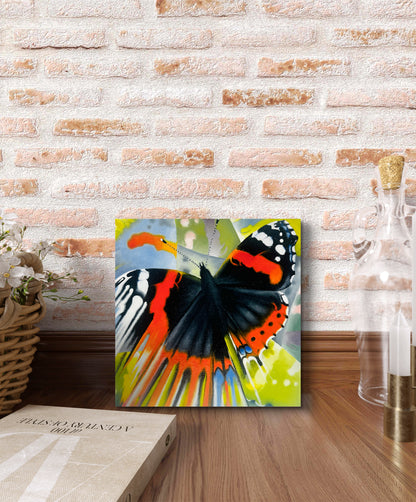Red Admiral