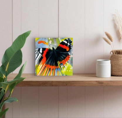 Red Admiral