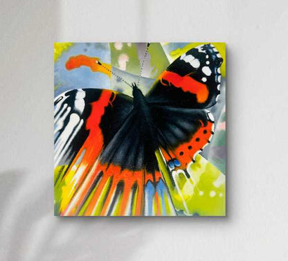 Red Admiral