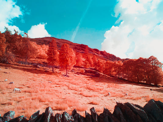 Helvellyn - Lake District - UK